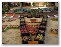 Výstava ovoce a zeleniny – „Veselský Krtek“