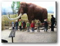 MŠ v ZOO