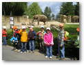 MŠ v ZOO