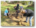 Centrum experimentální archeologie ve Všestarech