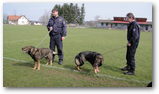 Policie v MŠ