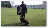 Policie v MŠ