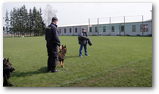 Policie v MŠ