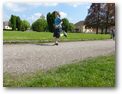 Čarodějnický čtyřboj