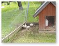 Školní výlet 7. třída- Kozí farma – Pěnčín