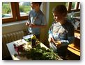 Přírodověda ve 4. třídě