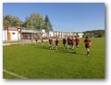 McDonald Cup