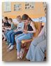 Terarijní zvířata