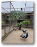 ZOO Chleby