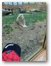 ZOO Chleby