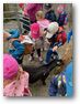 ZOO Chleby